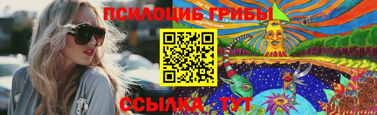 Псилоцибиновые грибы мицелий  Вход с VPN  Великий Устюг  Галлюциногенные грибы Psilocybe 